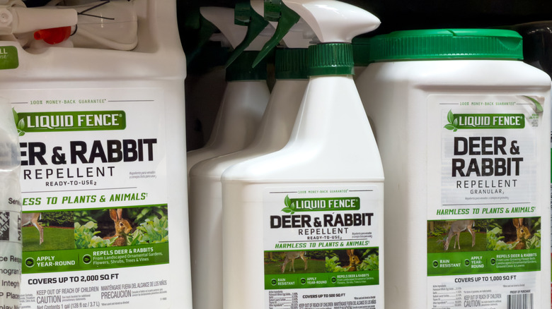 Deer and rabbit repellant spray
