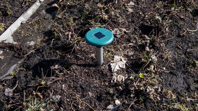 Ultrasonic solar pest repeller in the soil