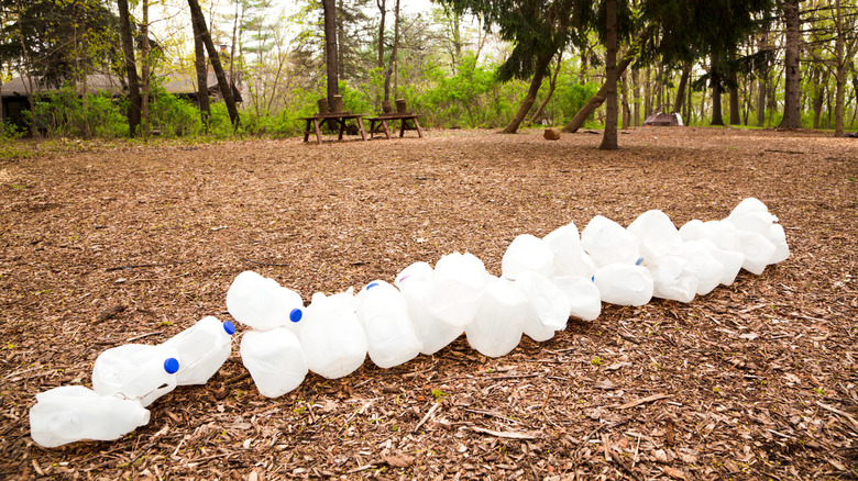 Empty milk jugs in a pile in a clearing with wood chips and picnic tables