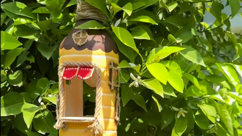 Plastic jug hanging in a tree painted like a house with rope door frames.
