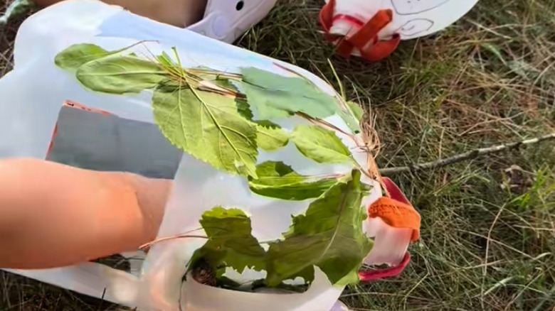 Child's hand reaching into a milk jug bird feeder with leaves glued on it