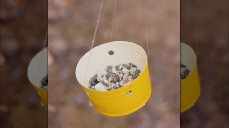 A DIY bird feeder made from a plastic cup.