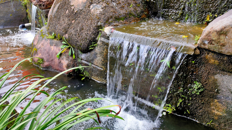 Garden waterfall feature with moss and ornamental grass
