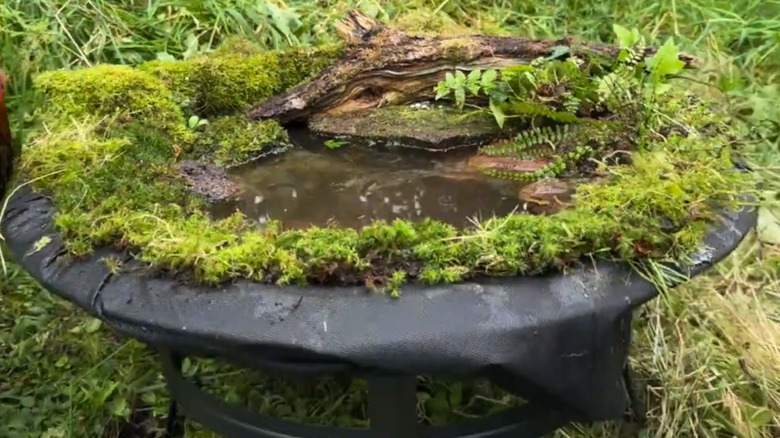 Old fire pit filled with landscape fabric and filled with natural moss, stones, wood, and water