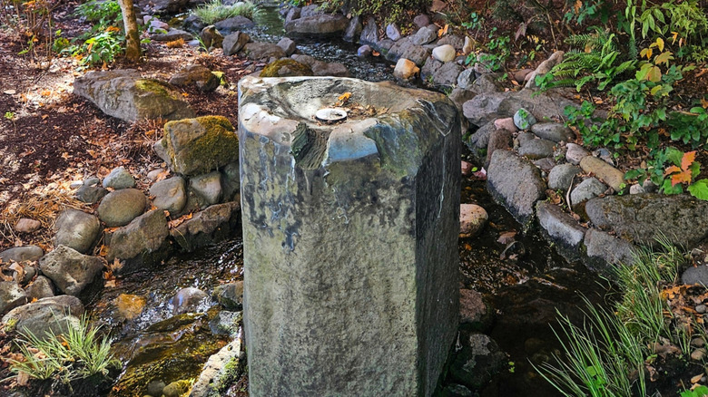 Basalt fountain in the middle of a small stream surrounded by plants and trees in a forest