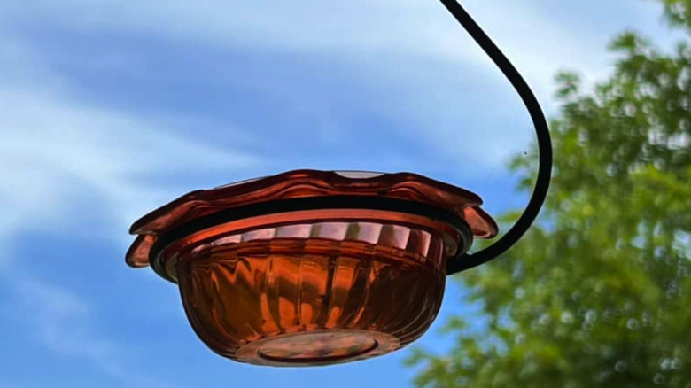 A bowl hanging from a metal plant holder against a blue sky and a tree