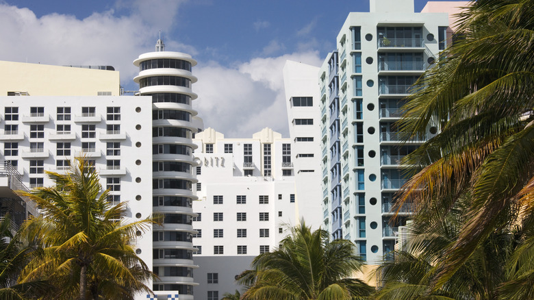 the royal palm hotel miami