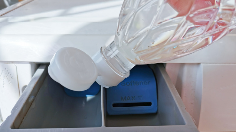 Pouring white vinegar into the fabric softener compartment of a washing machine.