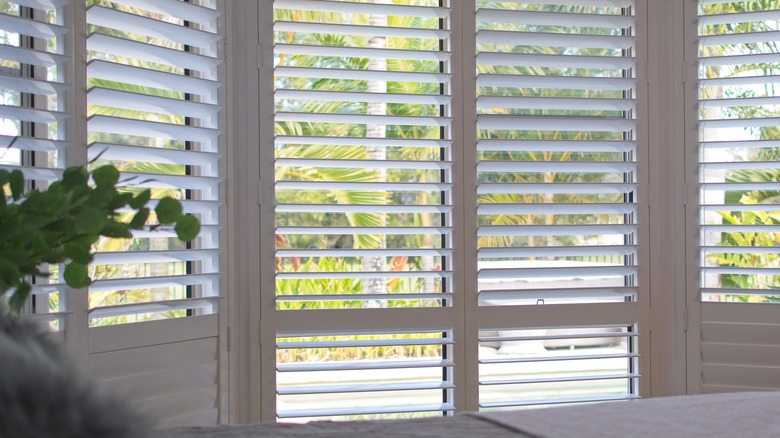 Open window blinds