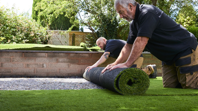 Workers installing rolls of artificial turf in a garden