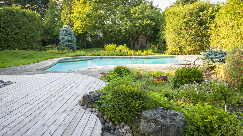 A backyard with a large in-ground swimming pool