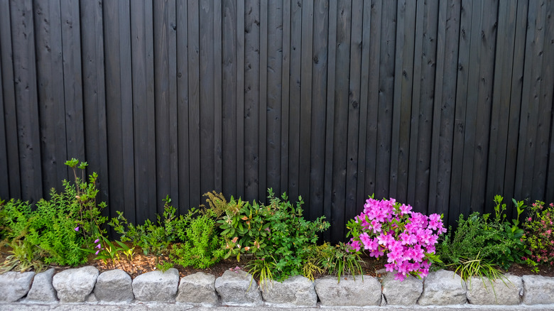 A flower bed backed by a large black wooden fence