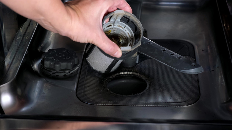 Hand taking out dishwasher filter