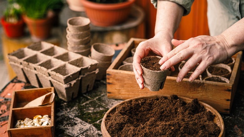 Someone loading seed trays in a pot