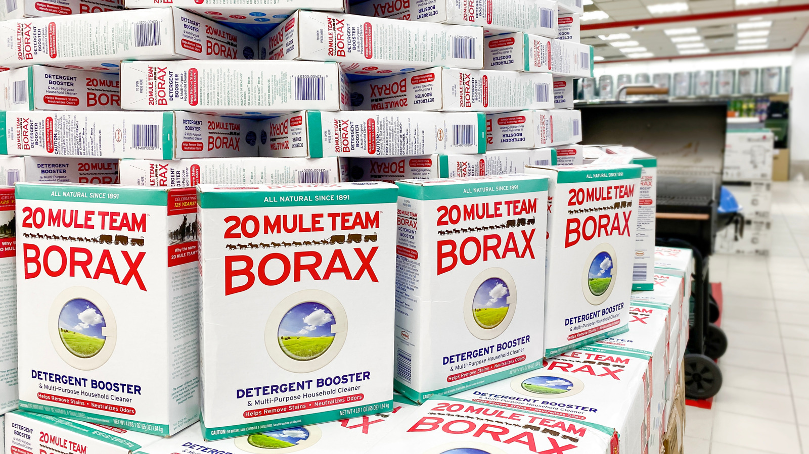 Borax Vs Boric Acid: Is There A Difference?
