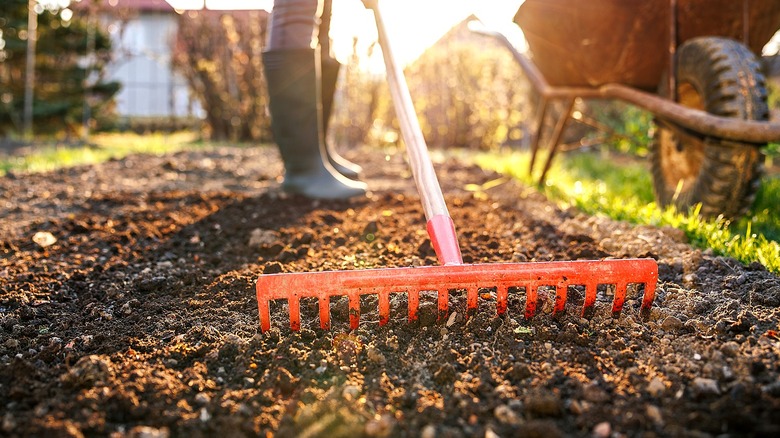 Person using a bow rake to move soil around in their garden