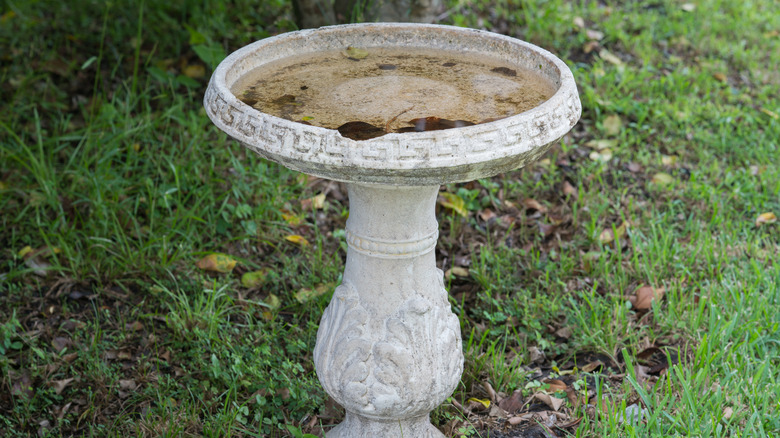 old, chipped birdbath