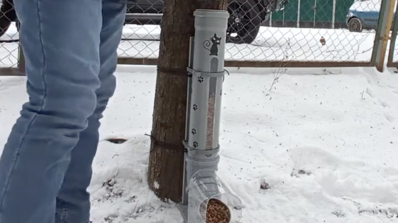 Cat feeding station in the snow
