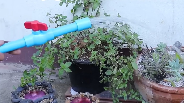 Hose sprayer made from PVC pipe