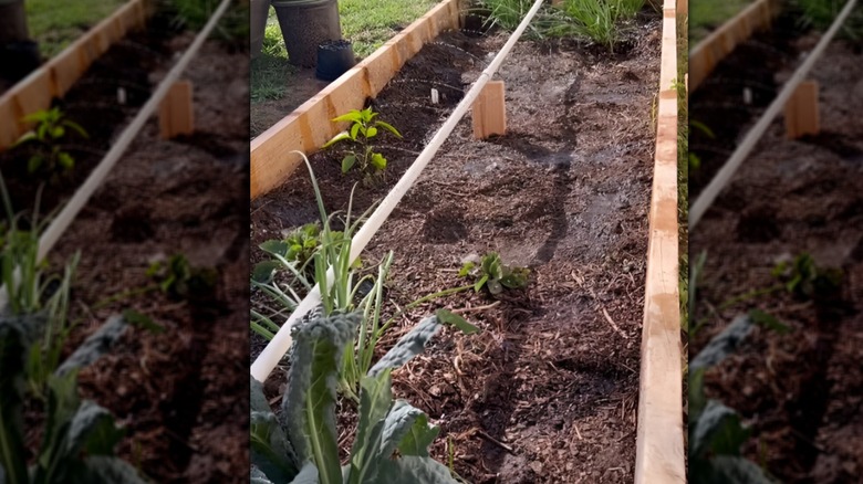 PVC pipe drip irrigation system