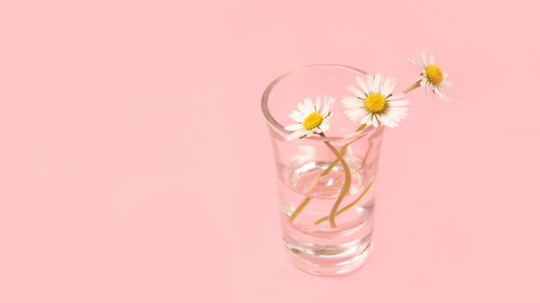 Small flowers in shot glass