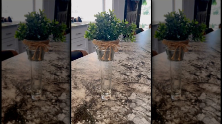 shot glass used as riser