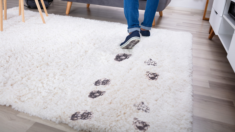 muddy footprints on carpet