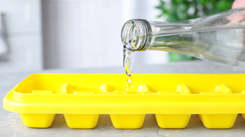 pouring water into ice tray