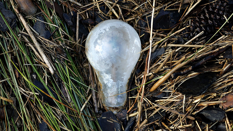 random old lightbulb