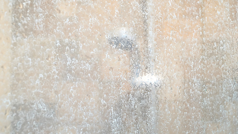 water and soap-stained shower door