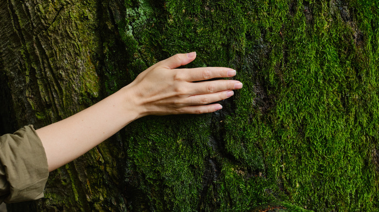 woman feeling mossy wall