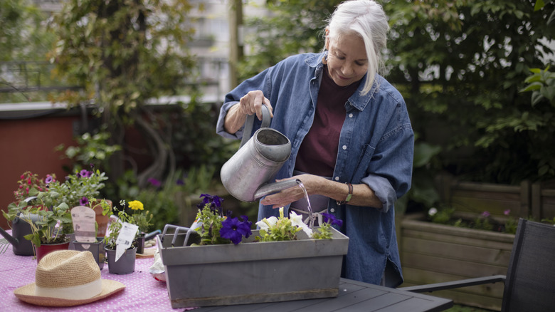 Woman watering flowers in pots on patio