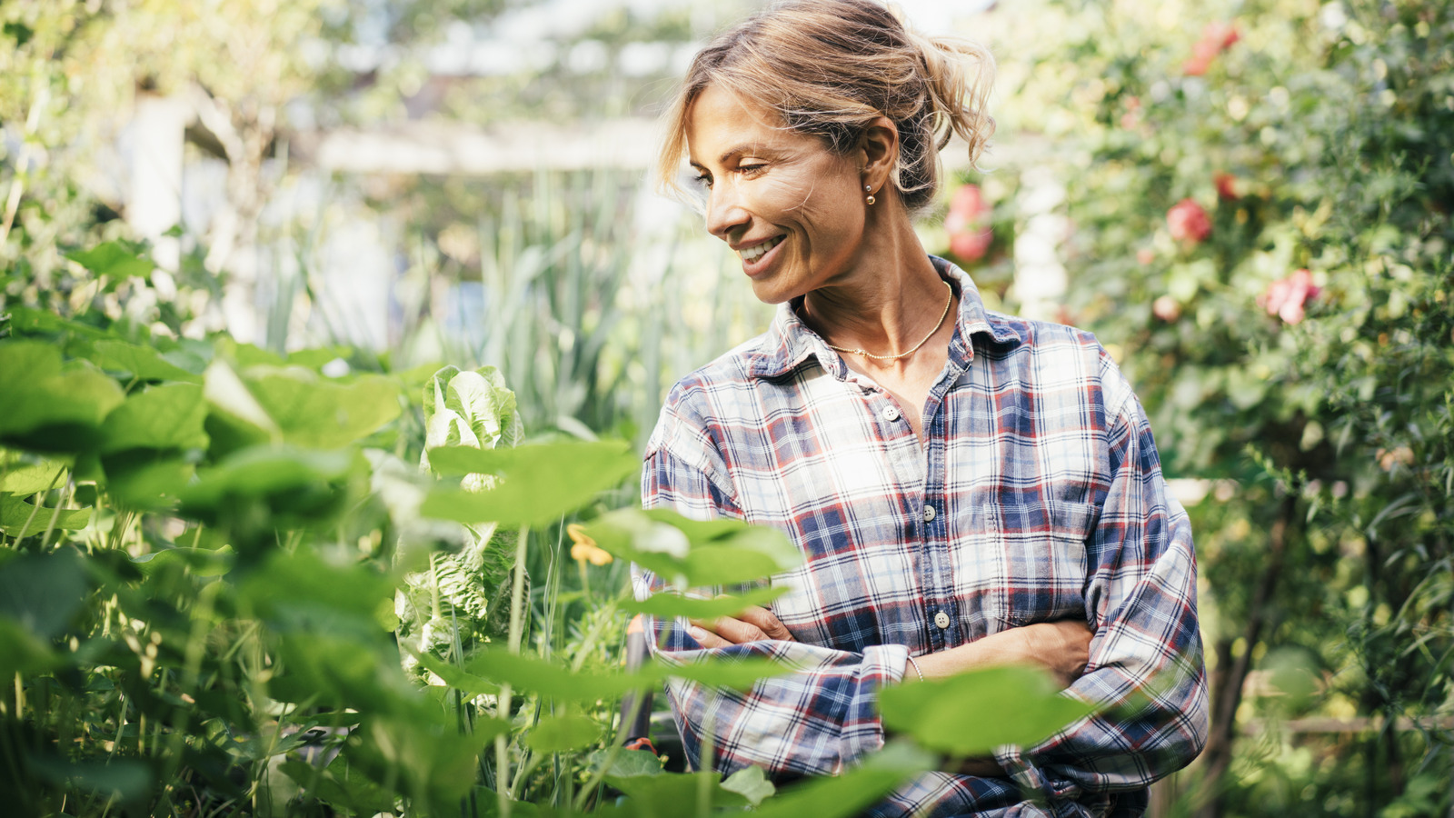 Infuse Your Spring Garden with Delicate Fragrances Using These Vibrant Flowers