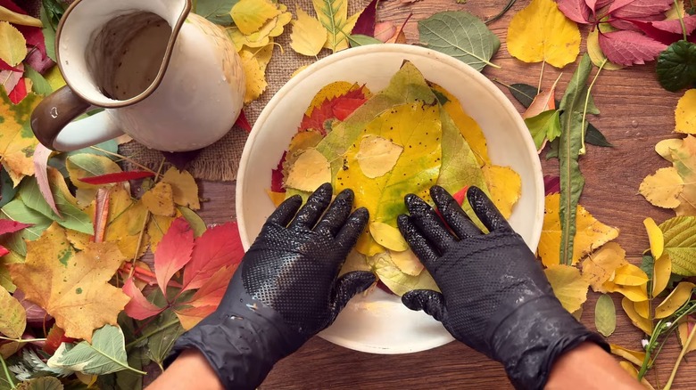 Hand dipping a leaf in wax