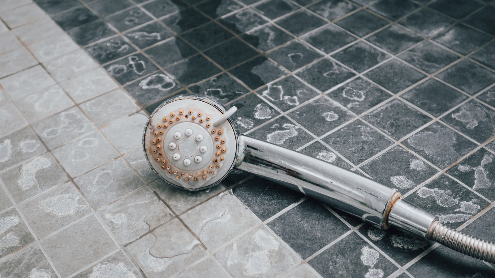 Bring Shine Back To Your Grimy Shower Head With This AllNatural Product