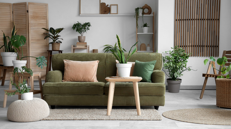 An indoor room with lots of plants and natural materials