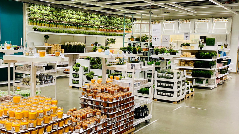 plant section at ikea