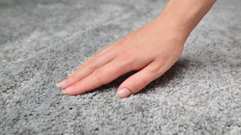 Person touching soft carpet