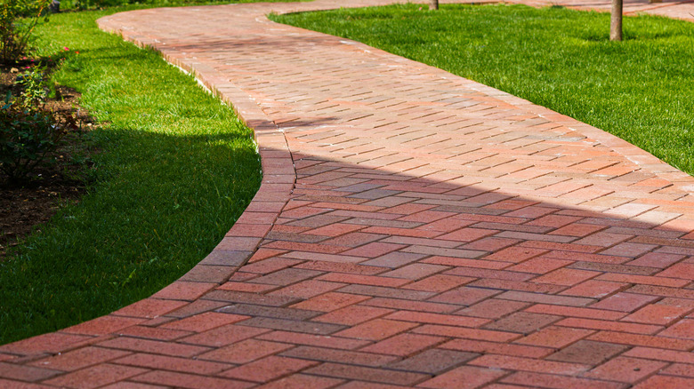 Brick pathway in yard