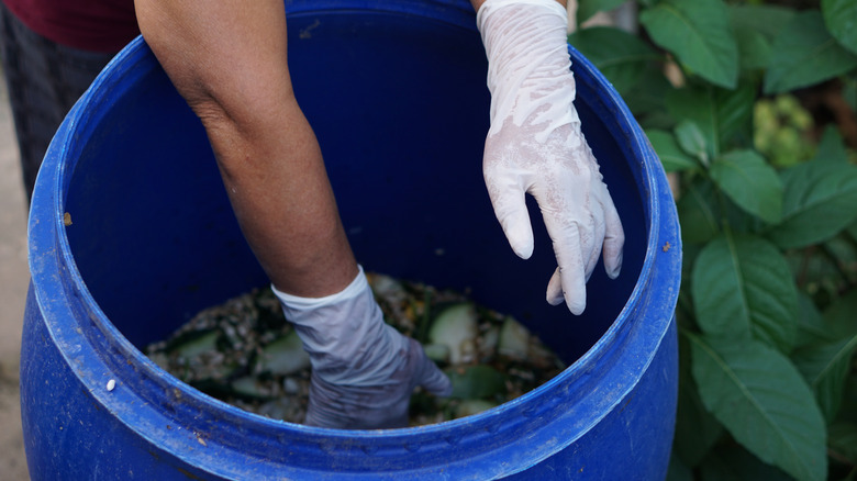 hands in a compost bucket with water