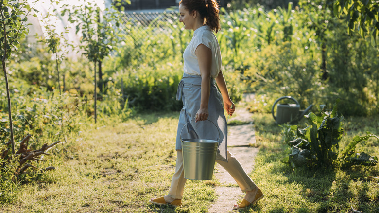 Someone carrying a bucket across their lawn