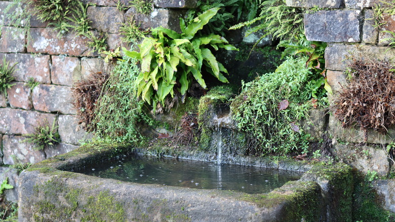 water trickling into a fountain
