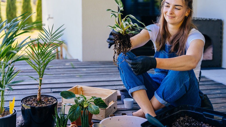 person on a deck wearing garden gloves, holding a plant