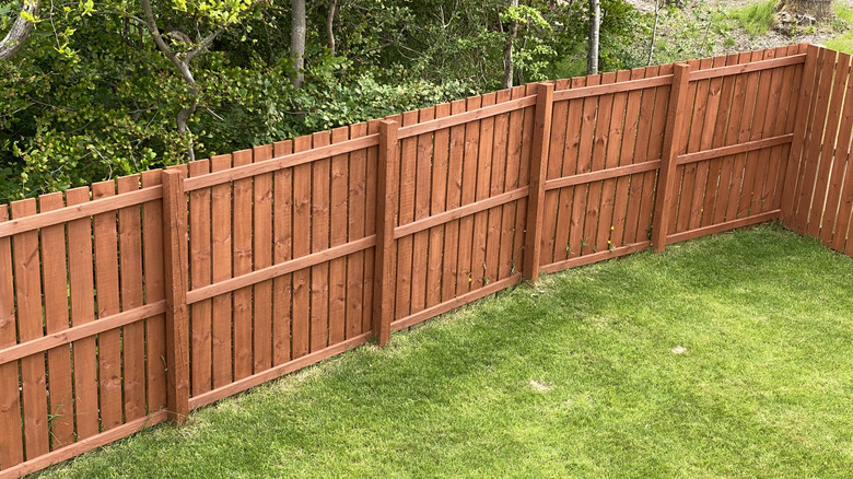A backyard fence built from wooden panels