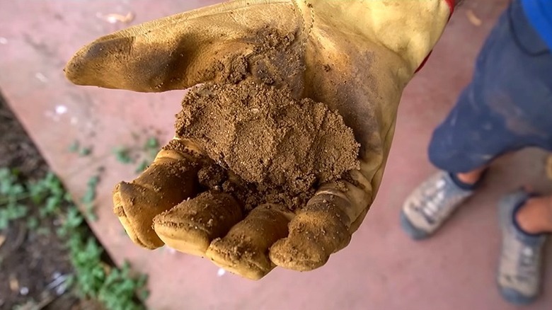 Close-up of a person's gloved hand with a clump of rammed earth mixture