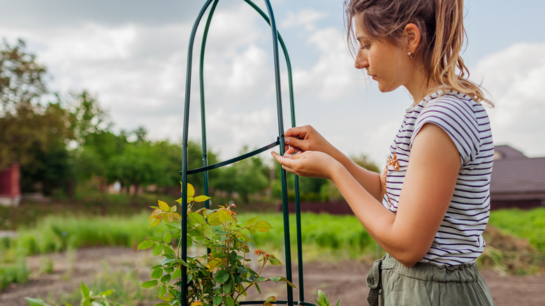 woman building trellises