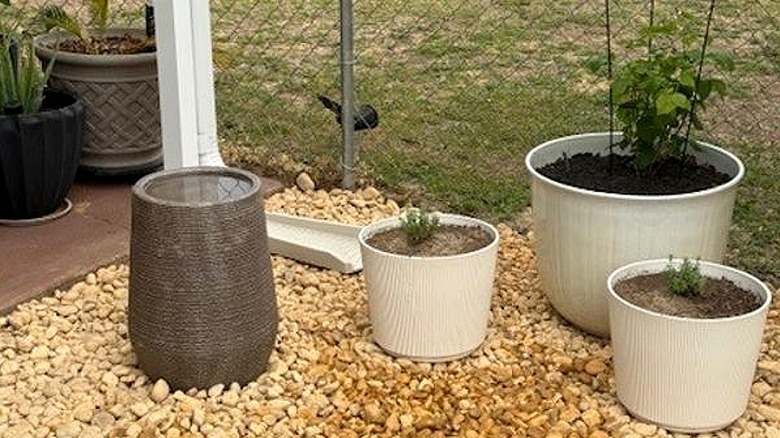 Cylindrical bird bath next to white planters with plants on rocky terrain in front of fence