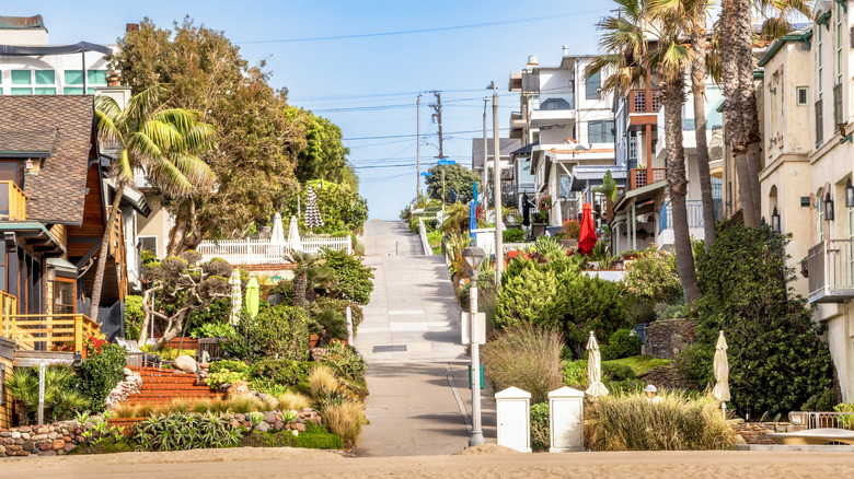 A hill in California with houses and palm trees