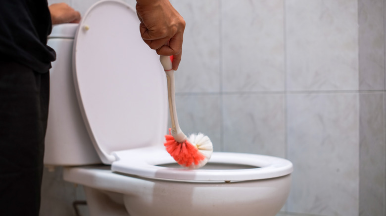 A homeowner cleaning their toilet