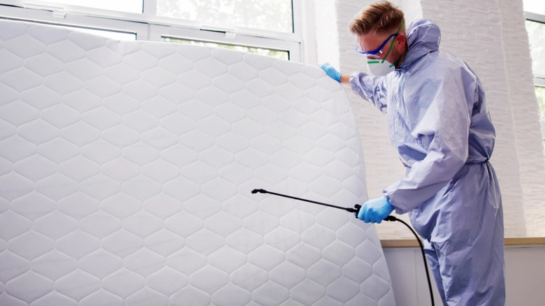 Professional exterminator treating bare mattress